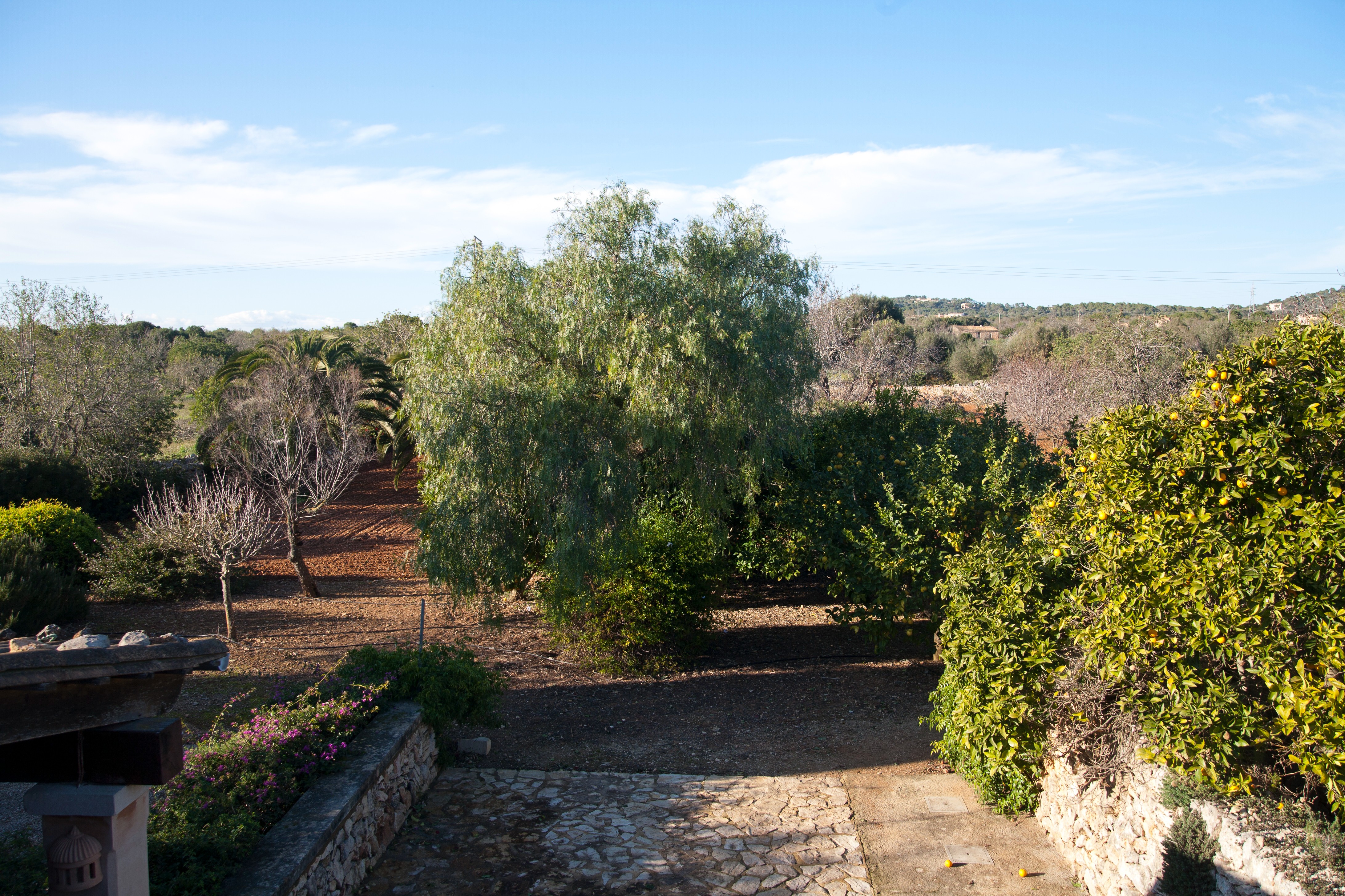 Superbe finca authentique de 5 chambres, située tout près de Santanyi — photo 32