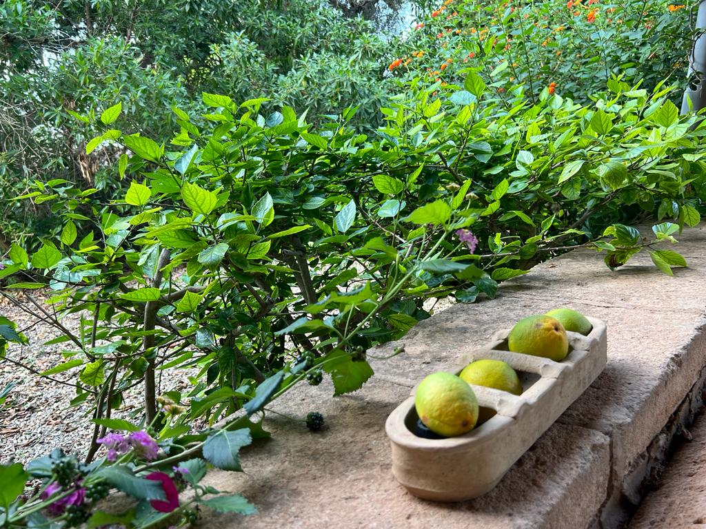 Superbe finca authentique de 5 chambres, située tout près de Santanyi — photo 37