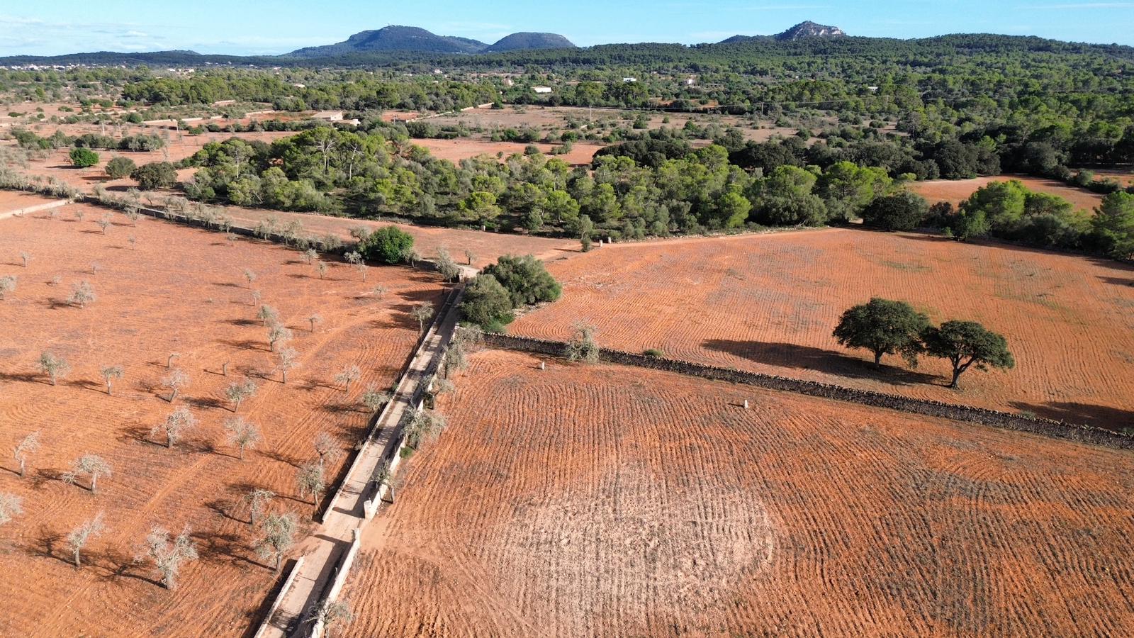 **Propriété historique à Algaida – Une opportunité unique à Majorque** — photo 6