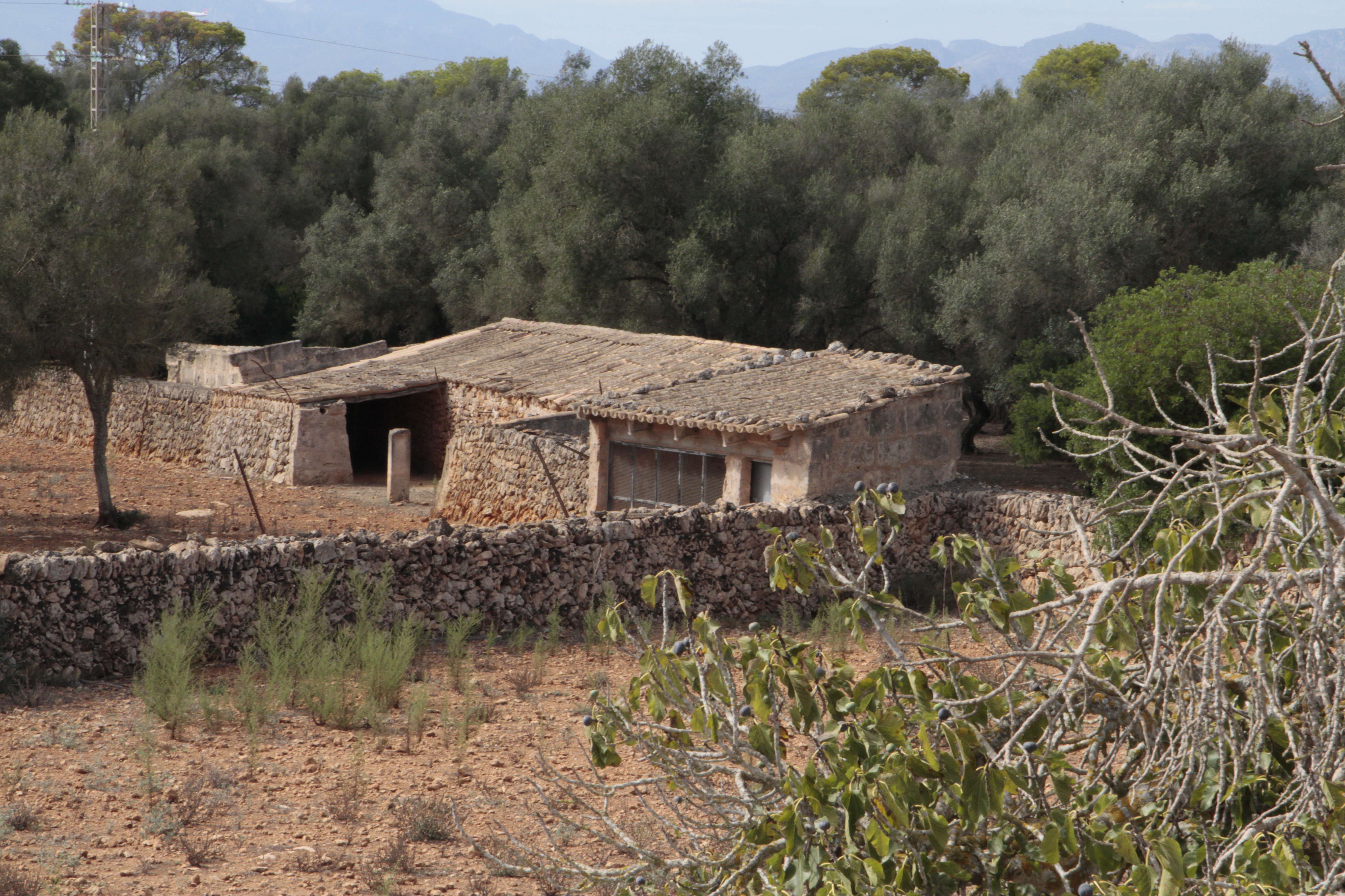 **Propriété historique à Algaida – Une opportunité unique à Majorque** — photo 29