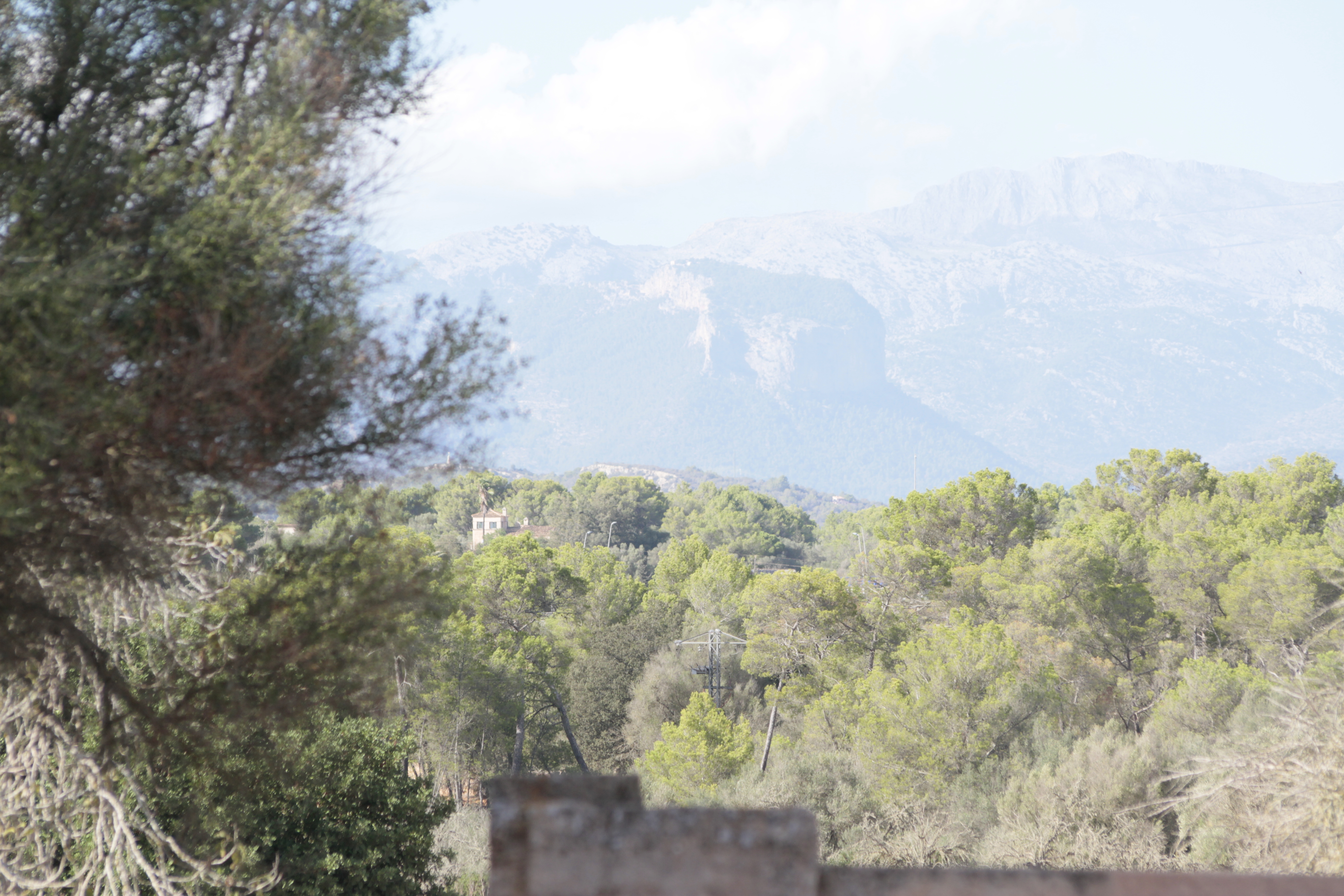 **Propriété historique à Algaida – Une opportunité unique à Majorque** — photo 45