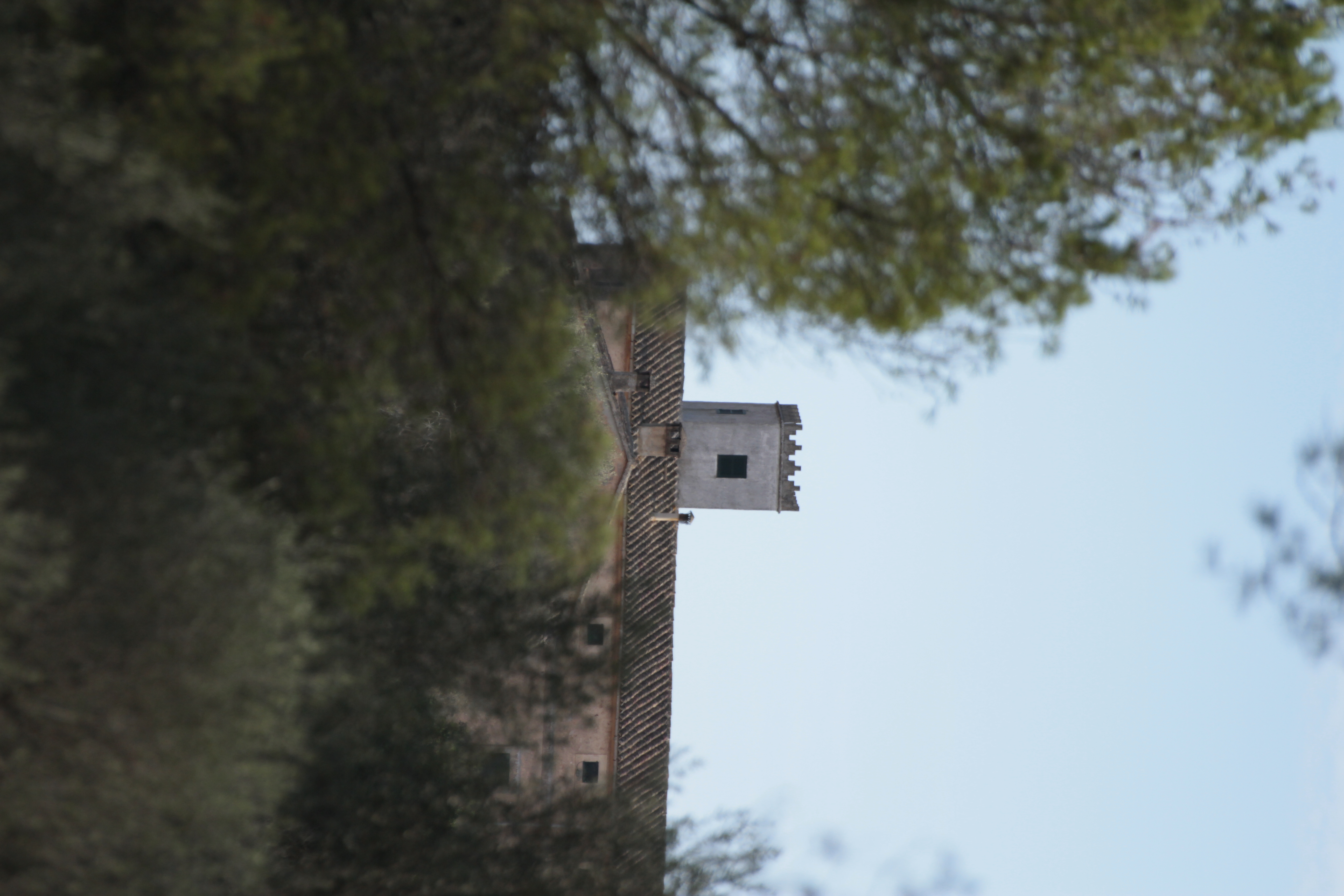 **Propriété historique à Algaida – Une opportunité unique à Majorque** — photo 54
