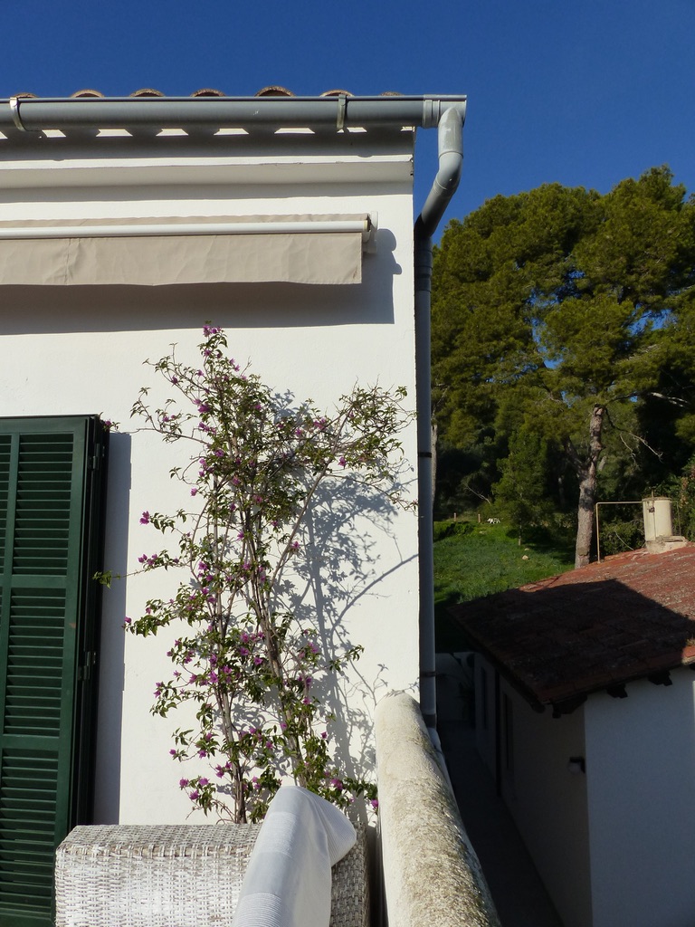Élégante maison de caractère avec vue mer, au cœur d'El Terreno – Palma de Mallorca — photo 32