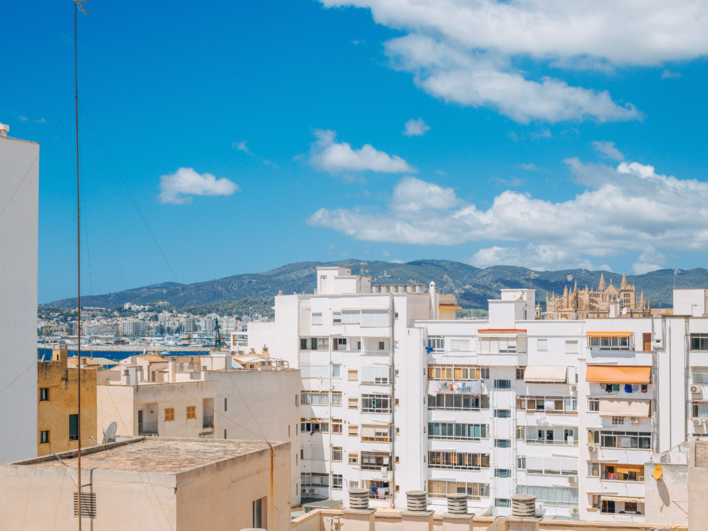 Palma - Penthouse d'angle avec 90 m² de terrasse vue mer et cathédrale — photo 7