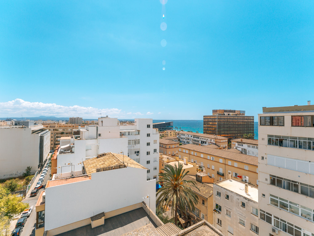 Palma - Penthouse d'angle avec 90 m² de terrasse vue mer et cathédrale — photo 14
